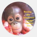 Sauvez les orangs-outans et la forêt tropicale adhésifs ronds