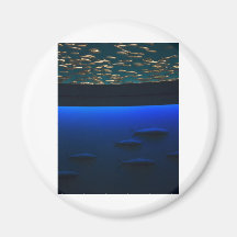 Sauvez les poissons aimants