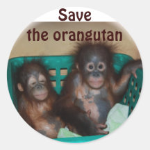 Sauvez l'orang-outan autocollants ronds
