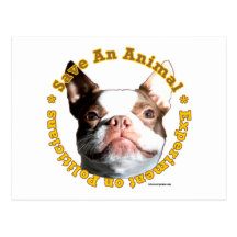 Sauvez une carte postale d'Animal-Chien