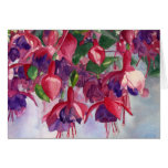 Savoir fuchsia carte de vœux