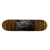 Savonarola encadré skateboards