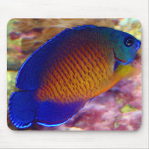 Scalaire de corail Mousepad de beauté Tapis De Souris