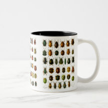 Scarabées Tasses