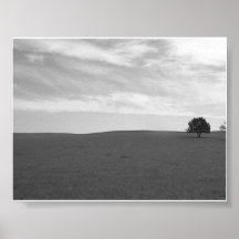 Scène noire et blanche isolée de Prarie Affiches