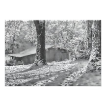 Scène rurale éclairée à contre-jour noire et blanc photos sur toile