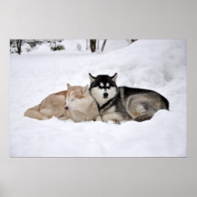 SchlafimSchnee Posters