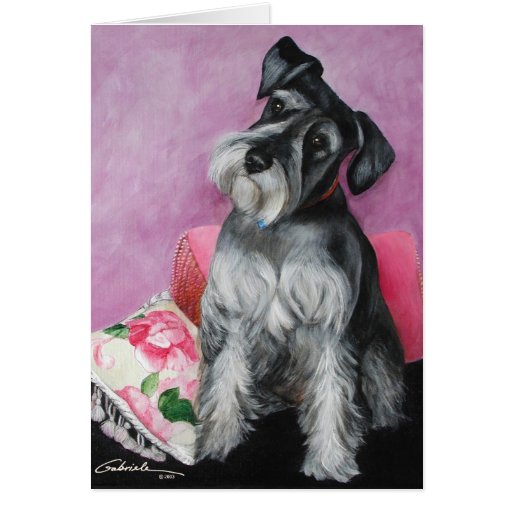 Schnauzer Cartes De Vœux