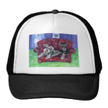 Schnauzers Moove plus de Casquette