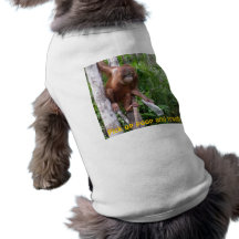 Scoop et réutilisation de dunette manteaux pour animaux domestiques