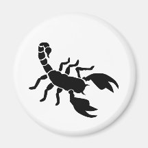 Scorpion Aimant Pour Réfrigérateur