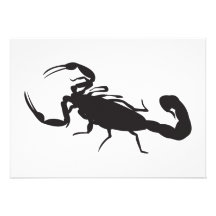 Scorpion Bristols Personnalisés