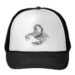 scorpion casquettes