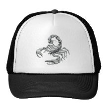 scorpion casquettes