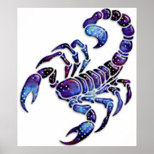 Scorpion céleste posters