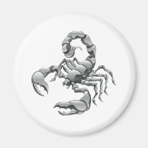 scorpion magnets pour réfrigérateur