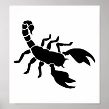 Scorpion Posters