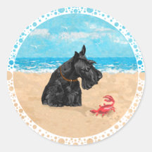Scottie curieux à la plage adhésifs ronds