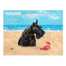 Scottie curieux à la plage cartes postales