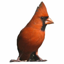 Sculpture cardinale rouge en photo photos en relief