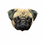 Sculpture drôle Keychain en photo de carlin sculptures photos