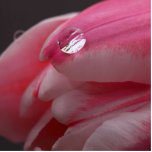 Sculpture en photo de rose de rose photo sculpture