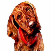 Sculpture en photo de Vizsla Photos En Relief