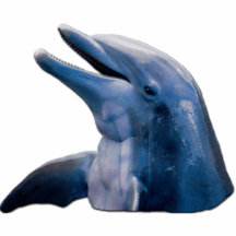 Sculpture en photo d'image de dauphin photo sculptures