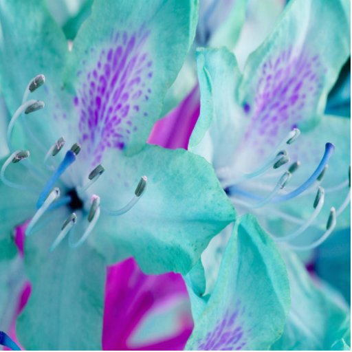 Sculpture florale bleue en photo photo sculptures