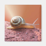 Se précipiter l'aimant de ~ d'escargot