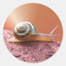 Se précipiter l'autocollant de ~ d'escargot