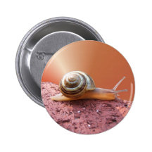 Se précipiter le bouton de ~ d'escargot badge avec épingle