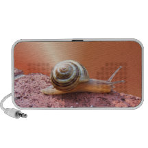 Se précipiter le haut-parleur de ~ d'escargot