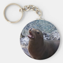 sea lion mouth open photo cute sea animal key chains