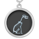 SÉANCE SQUELETTIQUE DE CHIEN DE RAYON X - BLEU ET  COLLIER PERSONNALISÉ