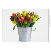 seau de tulipes carte de vœux