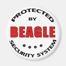 Sécurité de beagle magnets
