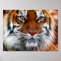 Seigneur des jungles indiennes, le tigre de Bengal Affiches