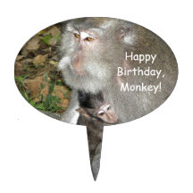 Sélection de singe et de gâteau de bébé piques à gâteau