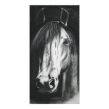 Sens de cheval modèle pour photocarte