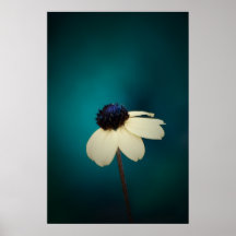 Sensible - jaune posters