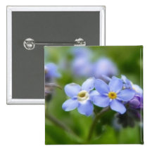 Sensible oubliez-moi pas des fleurs pin's