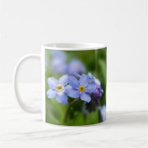 Sensible oubliez-moi pas des fleurs tasse