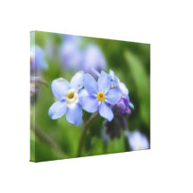 Sensible oubliez-moi pas des fleurs impressions sur toile