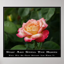 Sentez l'affiche de roses