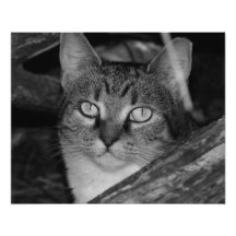 Septembre 2013 - B&W Photographies