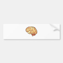 Série de cerveau adhésif pour voiture