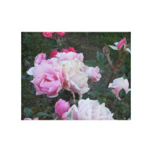 Série rose I Toile Tendue Sur Châssis