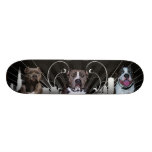 Série urbaine de Pitbull - de champion de Pitbull Skateboards Cutomisables