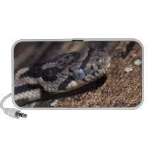serpent haut-parleurs mp3